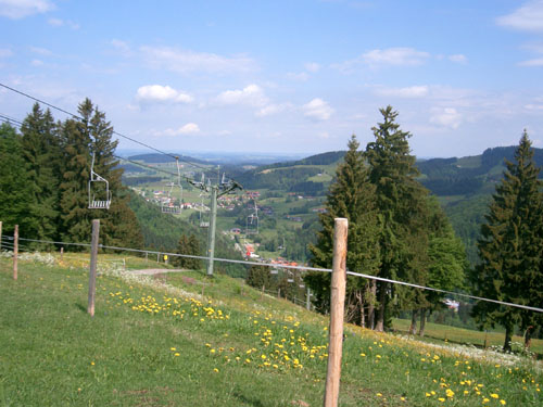 d3