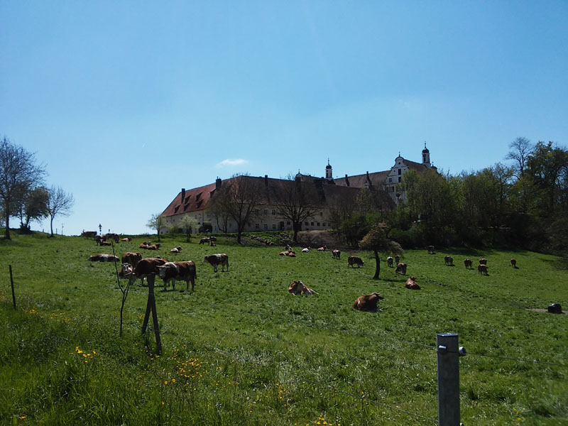 20160505_123133